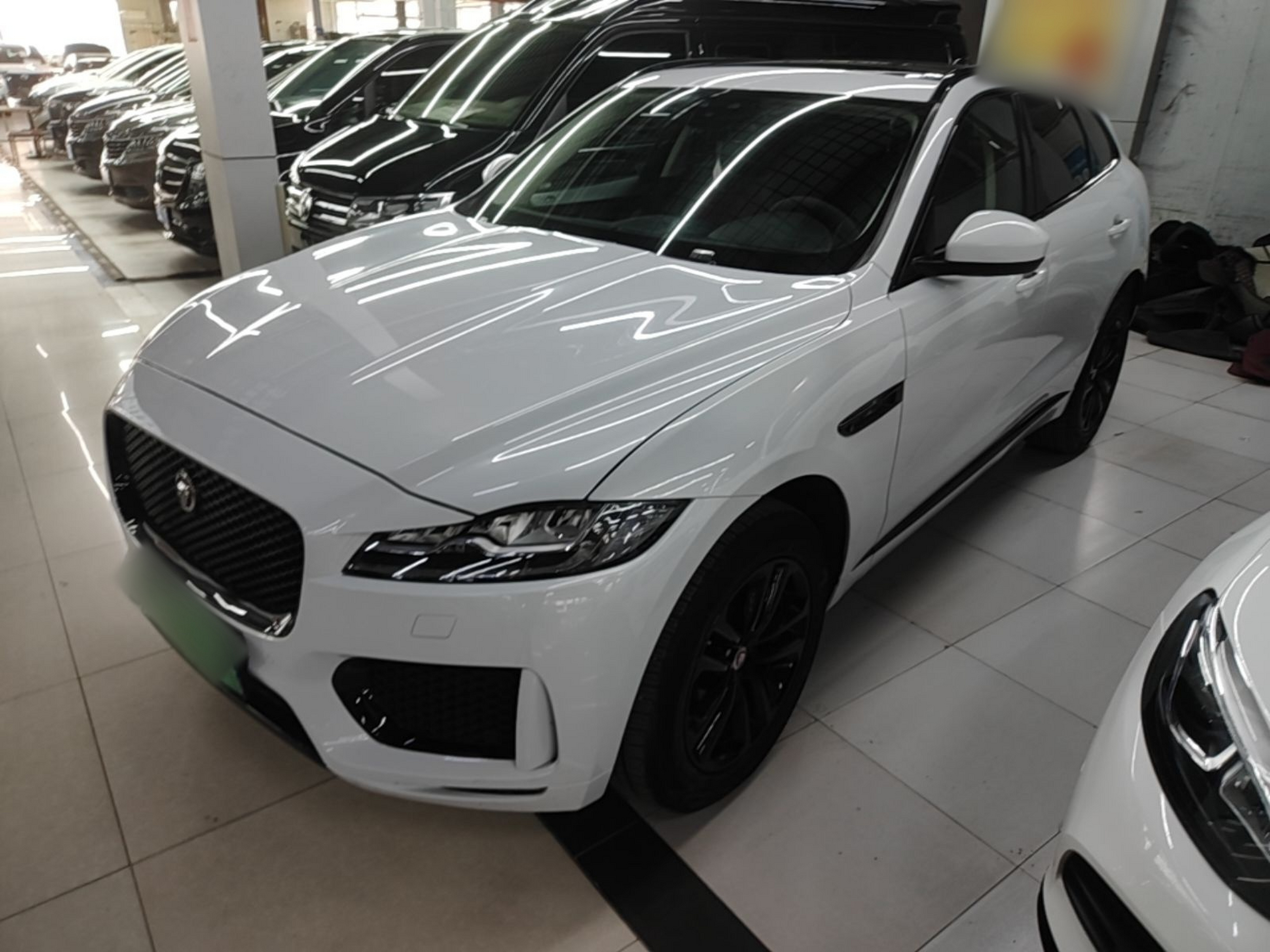 Under Front Bumper
