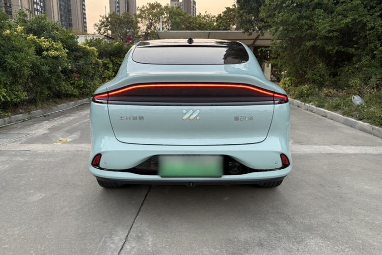 Used IM LS6 2023 Max Long-Range Version