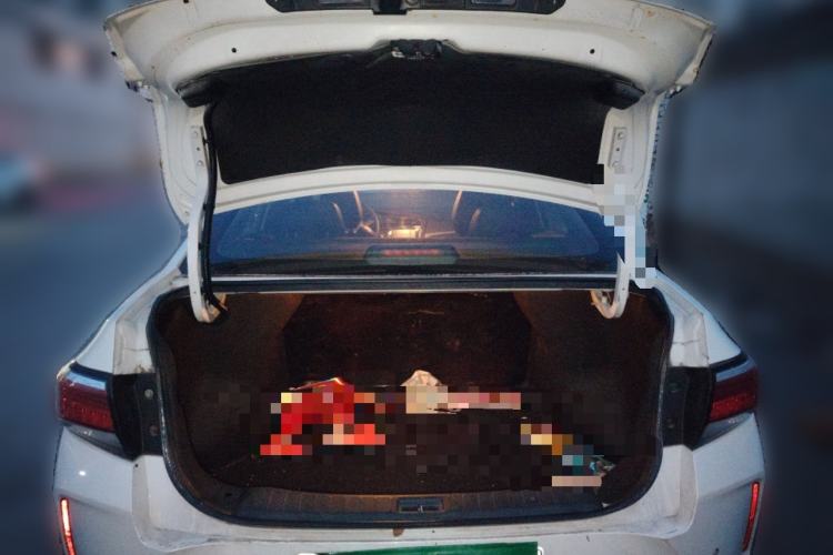 Used Venucia D60EV 2020 Standard Range Comfort Edition
