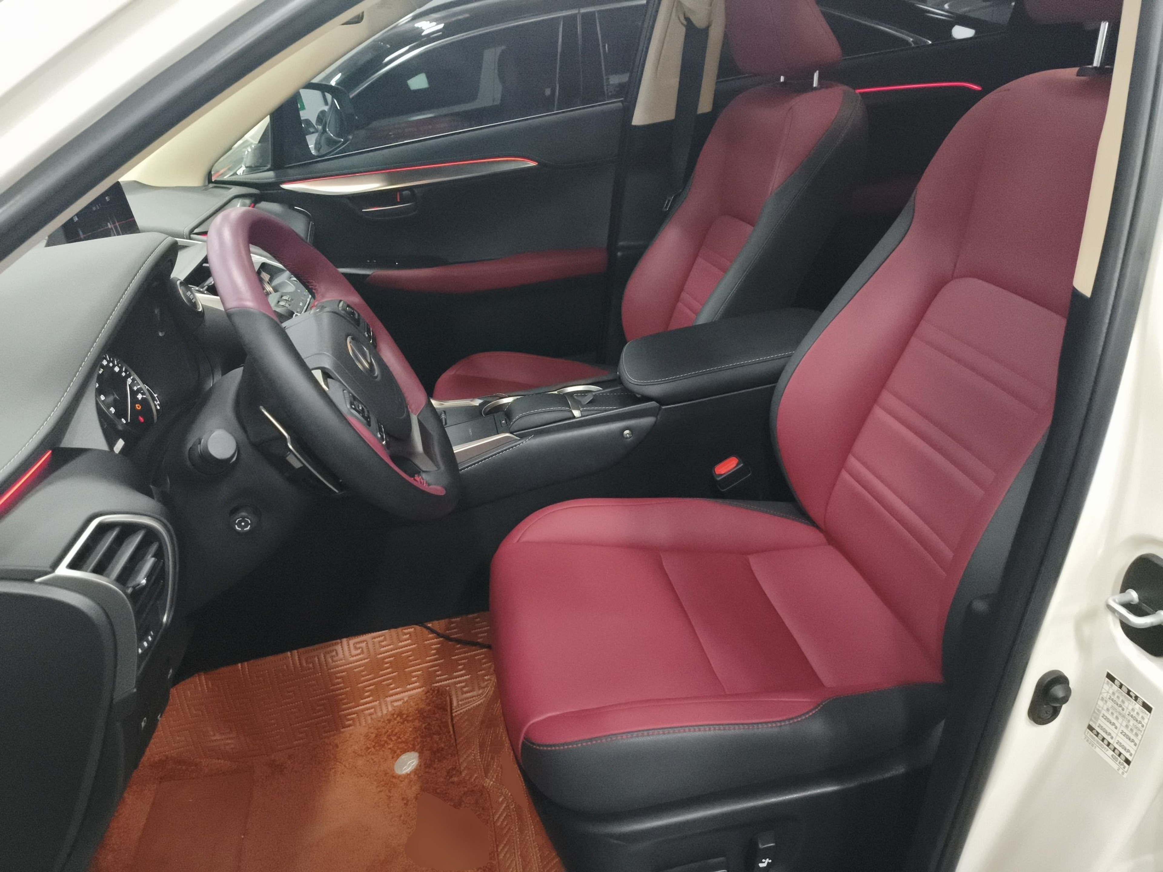 Interior delantero