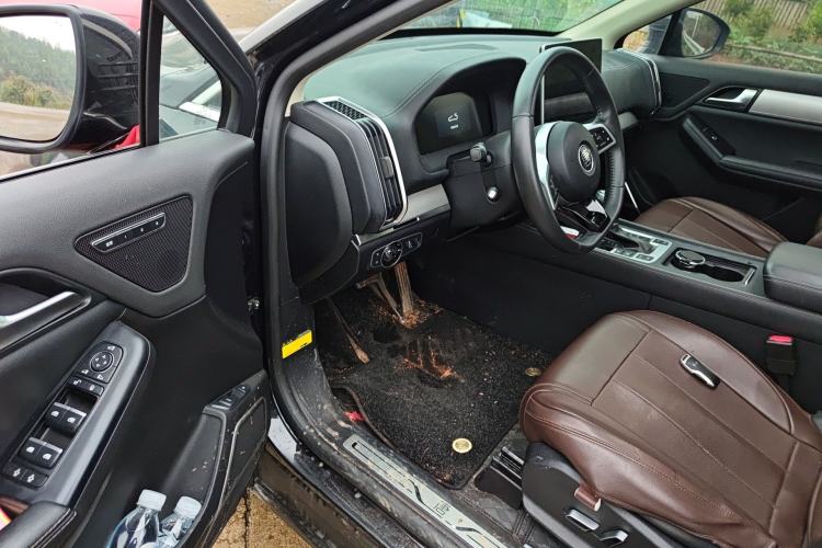 Used BYD Tang 2019 2.0T Automatic SmartConnect Luxury 7-Seater China VI Standard
