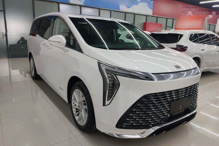 Used Buick Century 2025 2.0T Seven-Seater Yinshi Edition