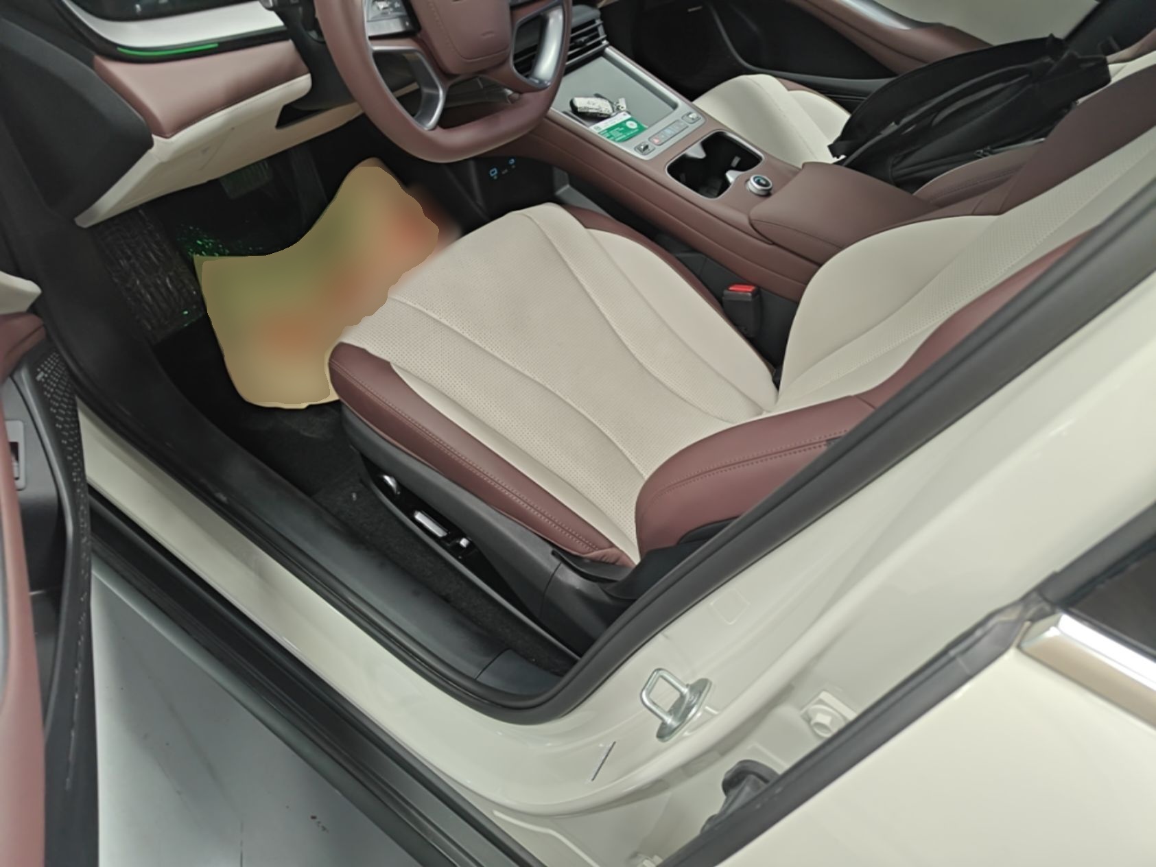 Interior delantero