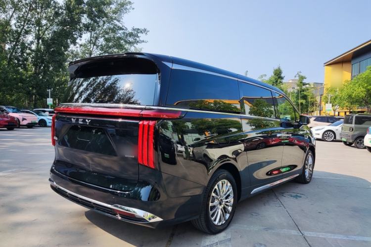 Used Wey Gaoshan 2023 Four-Wheel-Drive Executive Extended Version
