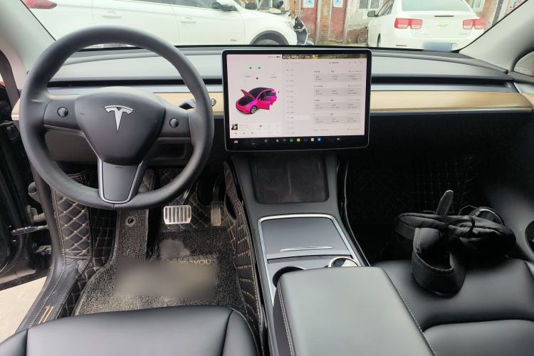 Used Tesla Model Y 2021 Standard Range Rear-Wheel Drive Version
