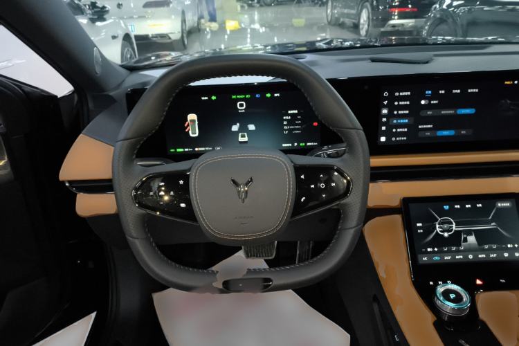 Used VOYAH PASSION 2024 PHEV Four-Wheel Drive Ultra-Long Range Flagship Model
