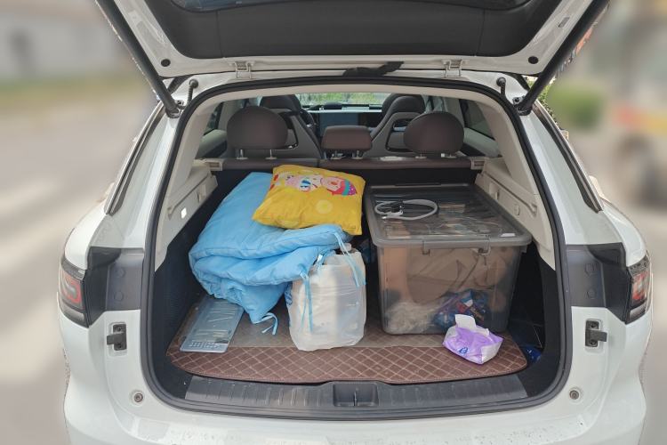 Used Leapmotor C11 2023 Pure Electric 500 Smart Edition
