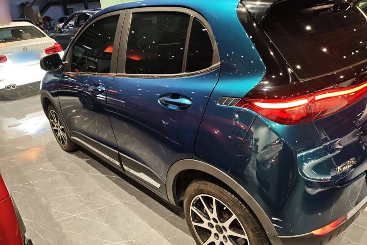 Used Dayun Yuehu 2021 32.85 kWh Two-Wheel-Drive Sprite Version
