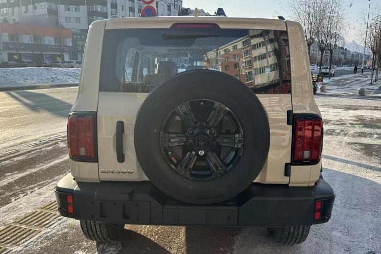 Used Tank 300 2025 2.4T Diesel Version
