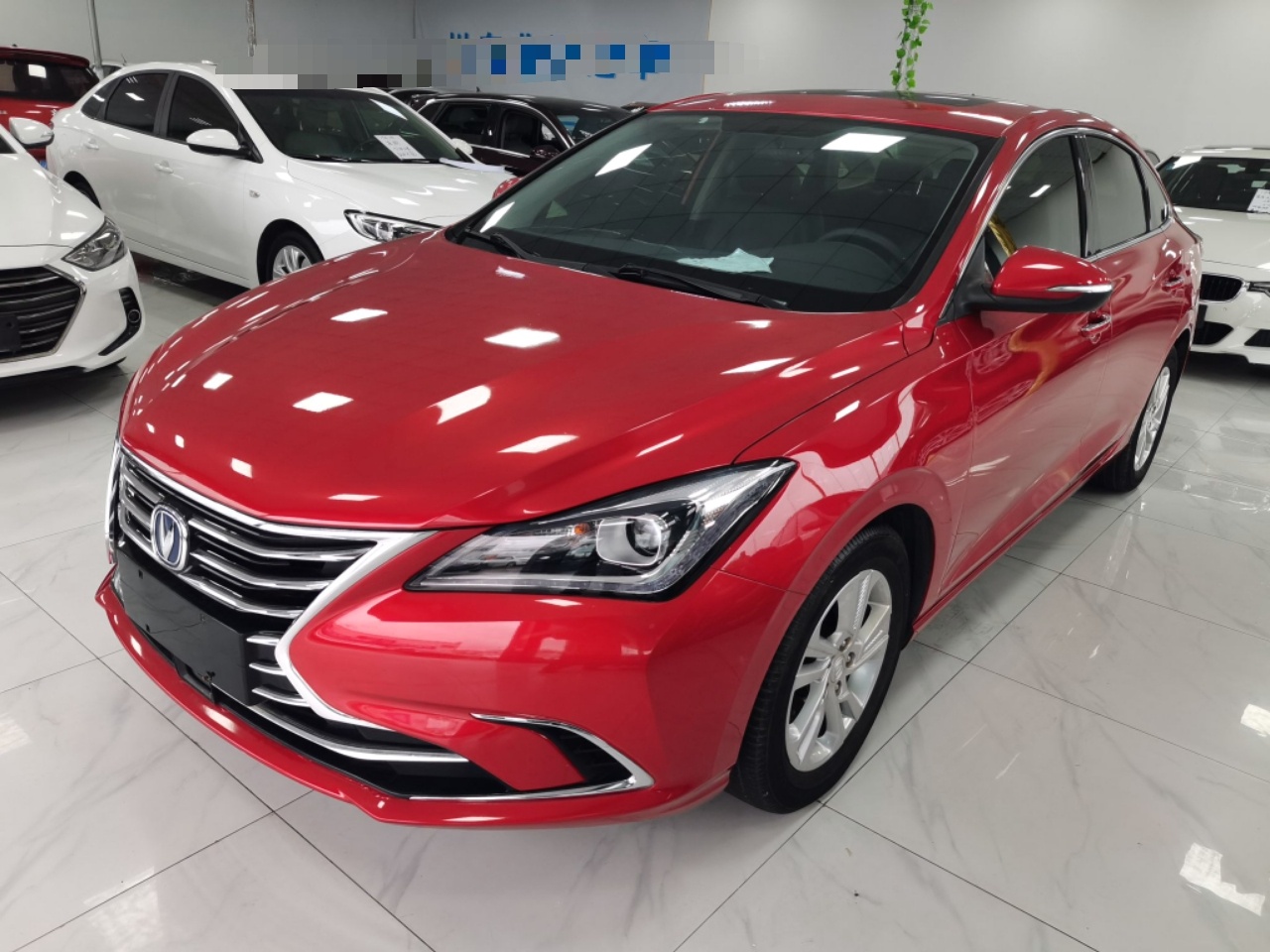 Parte inferior delantera