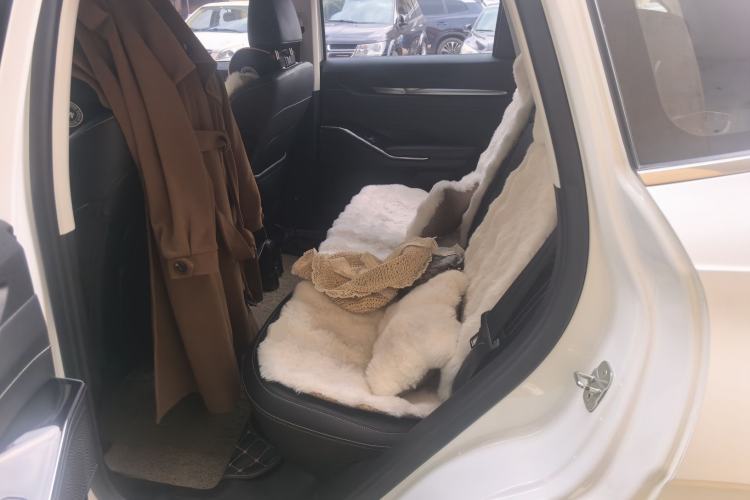 Used Haval H6 2021 3rd Generation 1.5T Automatic Two-Wheel-Drive Supreme Left Rear Seat