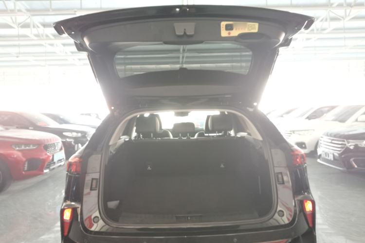 Used Wey Mocha 2021 2.0T Two-Wheel-Drive Ultra-Strong Version