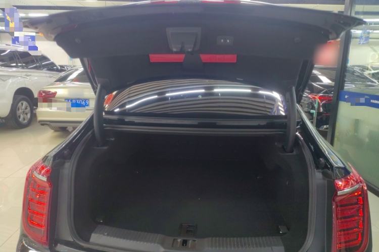 Used Hongqi H9 2023 2.0T Smart Connect Flagship Edition Trunk