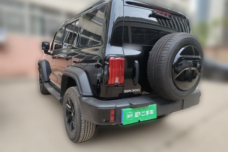 Used Tank 300 2024 2.0T Challenger