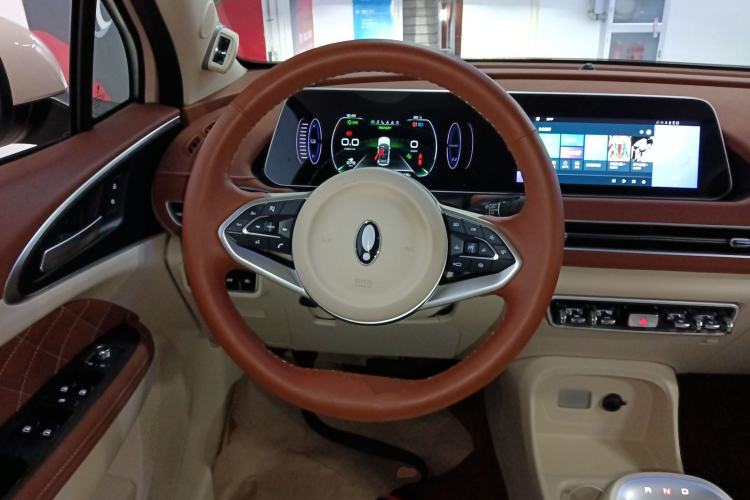 Used ORA Good Cat 2023 401 km Standard Range Comfort Version Lithium Iron Phosphate