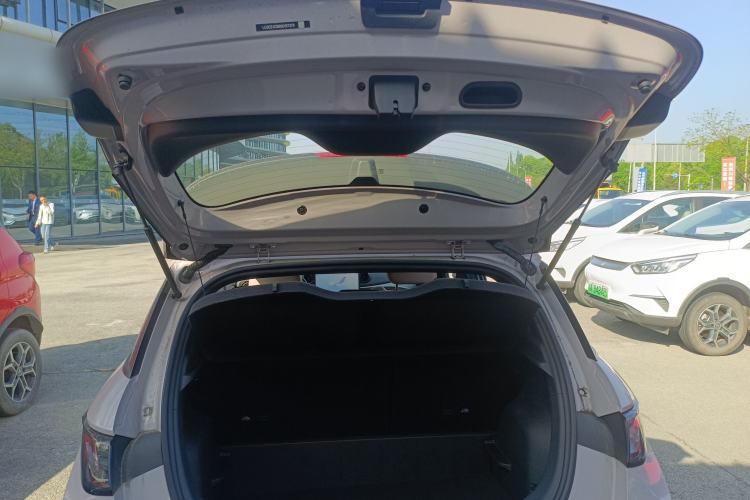 Used BYD Dolphin 2025 Intelligent Driving Version 520km Range Knight Edition