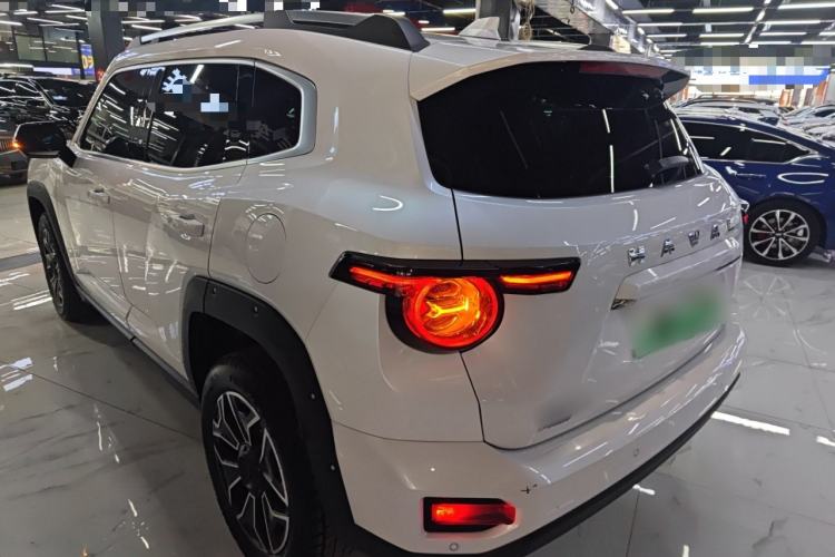 Used Haval H Dog New Energy 2023 DHT-PHEV 105km Tide Electric Version Plus Exterior 2