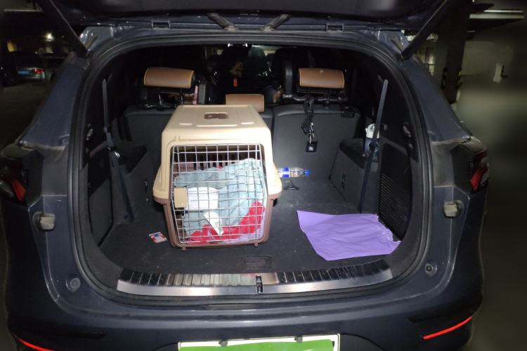 Used BYD Tang New Energy 2021 DM 2.0T Four-Wheel Drive High-Performance Flagship Model
