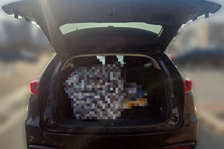 Used Wey VV7 2020 2.0T Flagship Edition
