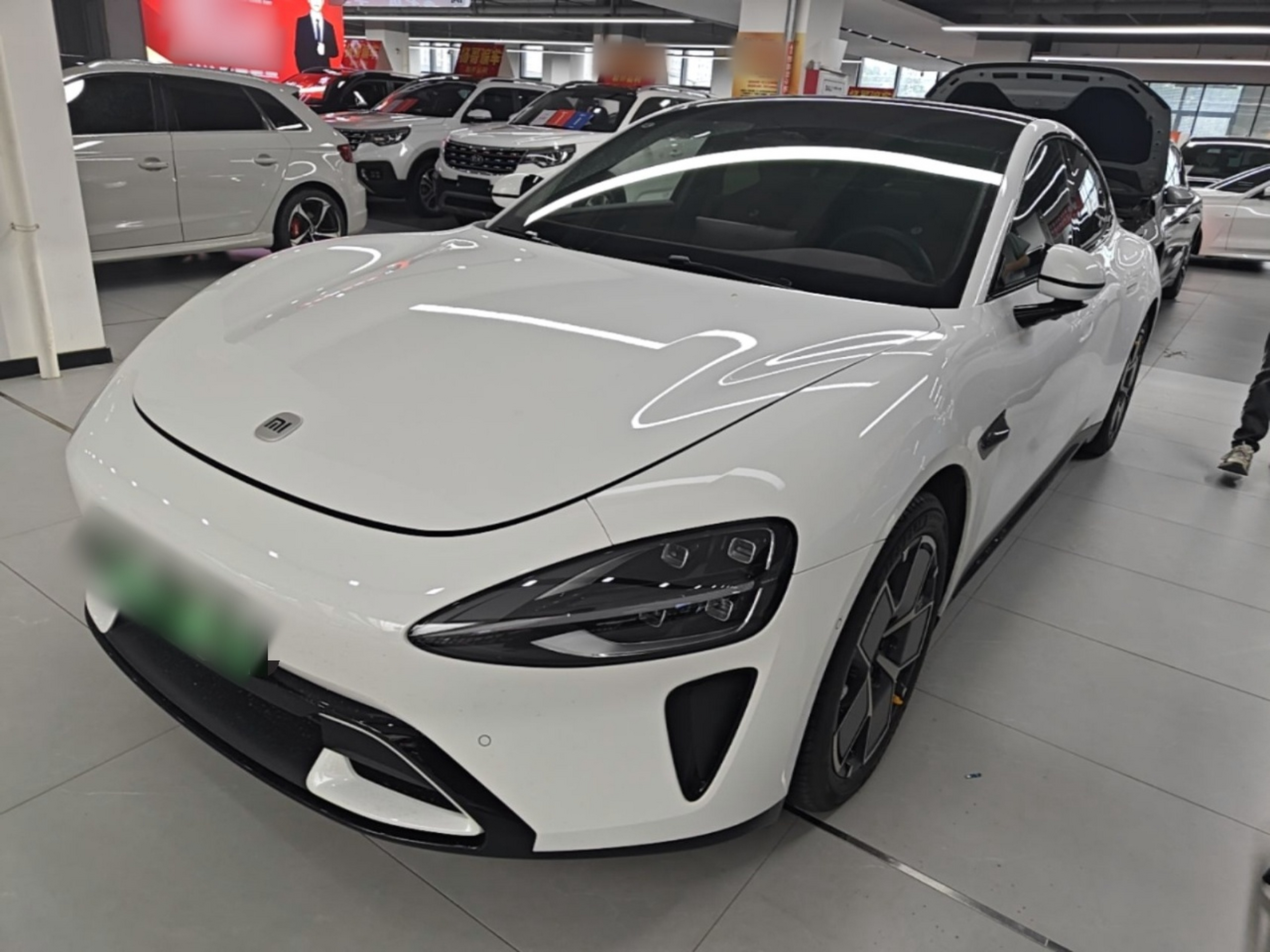 Under Front Bumper
