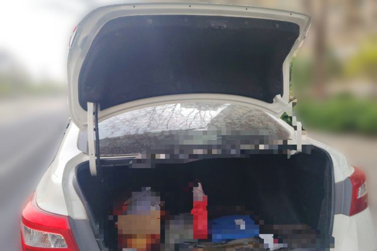 Used Nissan Sylphy 2019 1.6XV CVT Smart Connect Luxury Edition China VI Standard