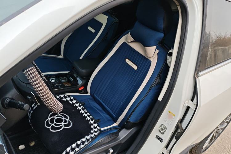 Used Haval H6 2017 Blue Label 1.5T Automatic Two-Wheel Drive ZhiShang Model Left Front Seat