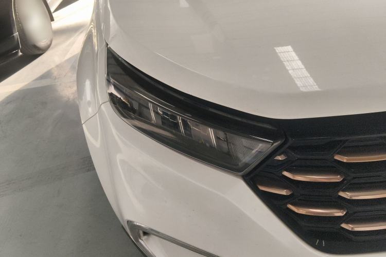 Used Ford Territory EV 2020 YAO LING Model