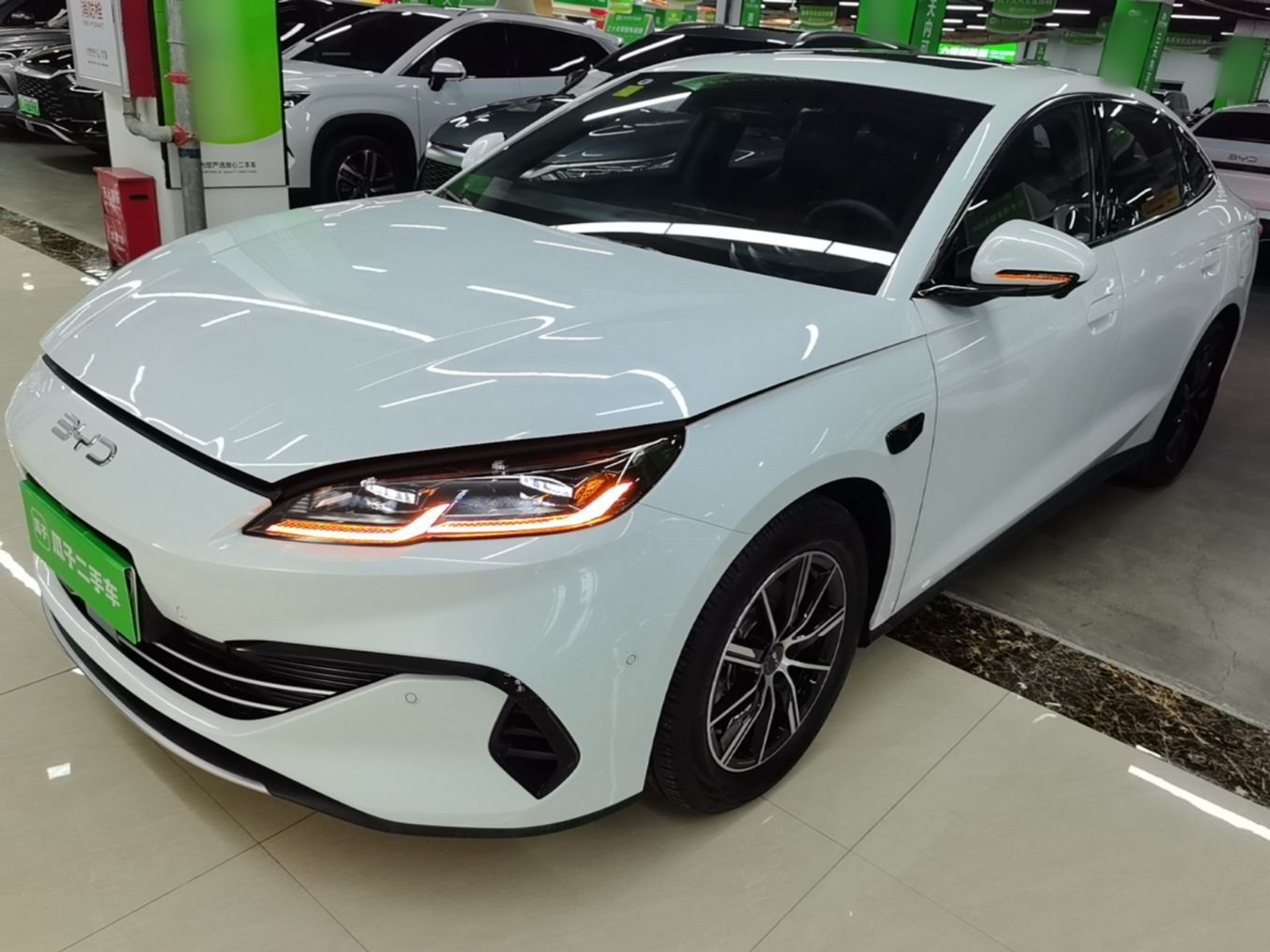 Parte inferior delantera