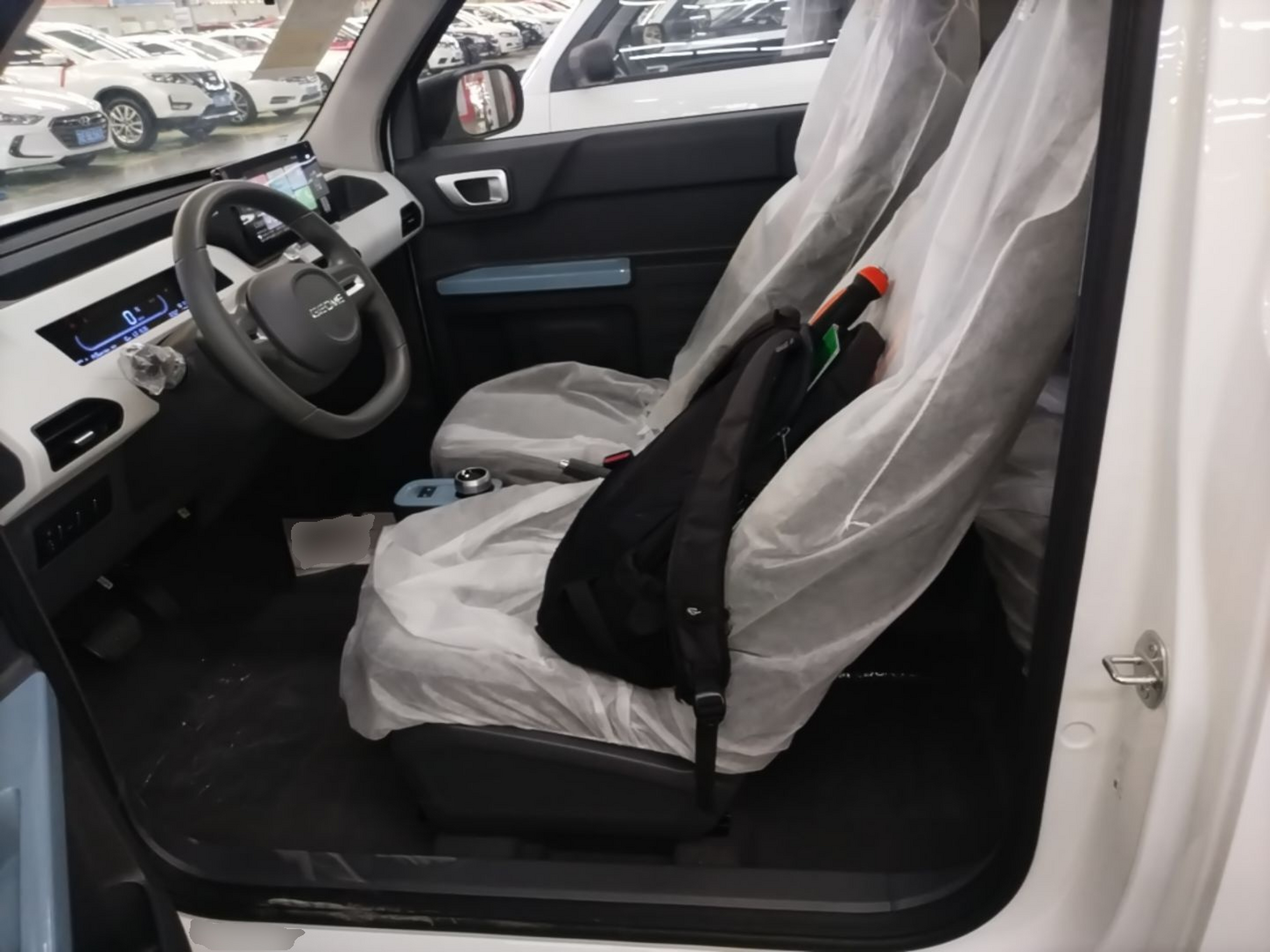 Interior delantero