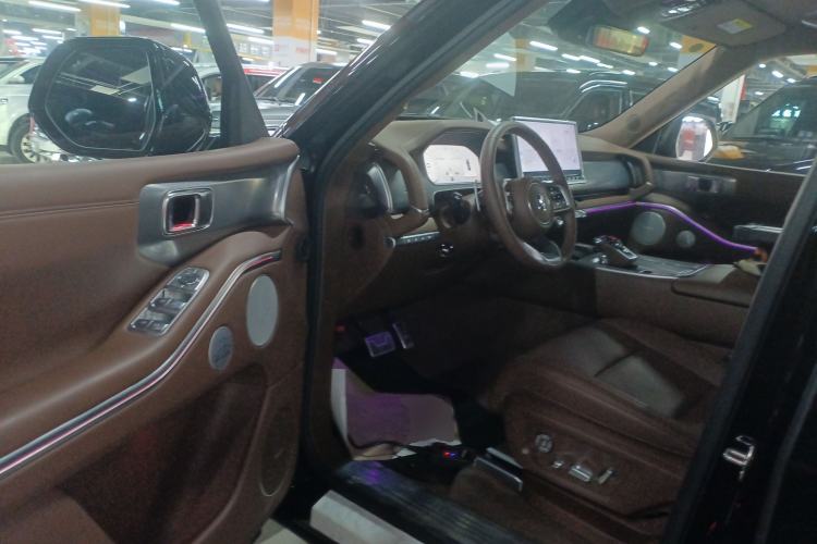 Used Tank 700 New Energy 2024 Hi4-T Extreme Edition Driver Seat