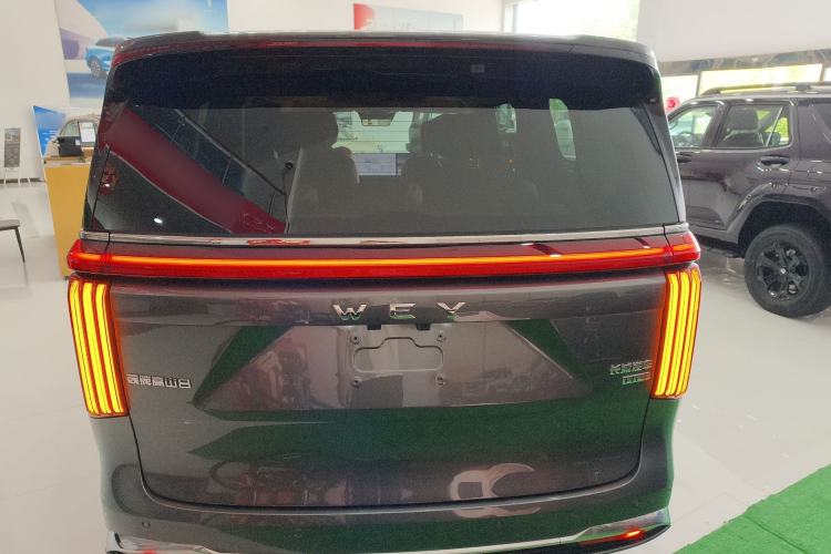 Used Wey Gaoshan 2025 Four-Wheel Drive Alpine 8 Rear