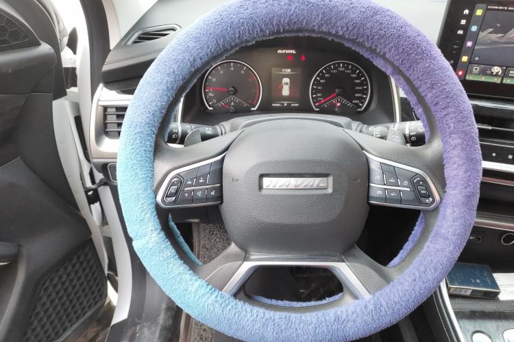 Used Haval H6 2021 National Trend Edition 1.5T Automatic Urban Version