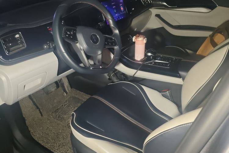 Used BYD Qin PLUS 2021 DM-i 55KM Flagship Model Left Front Seat