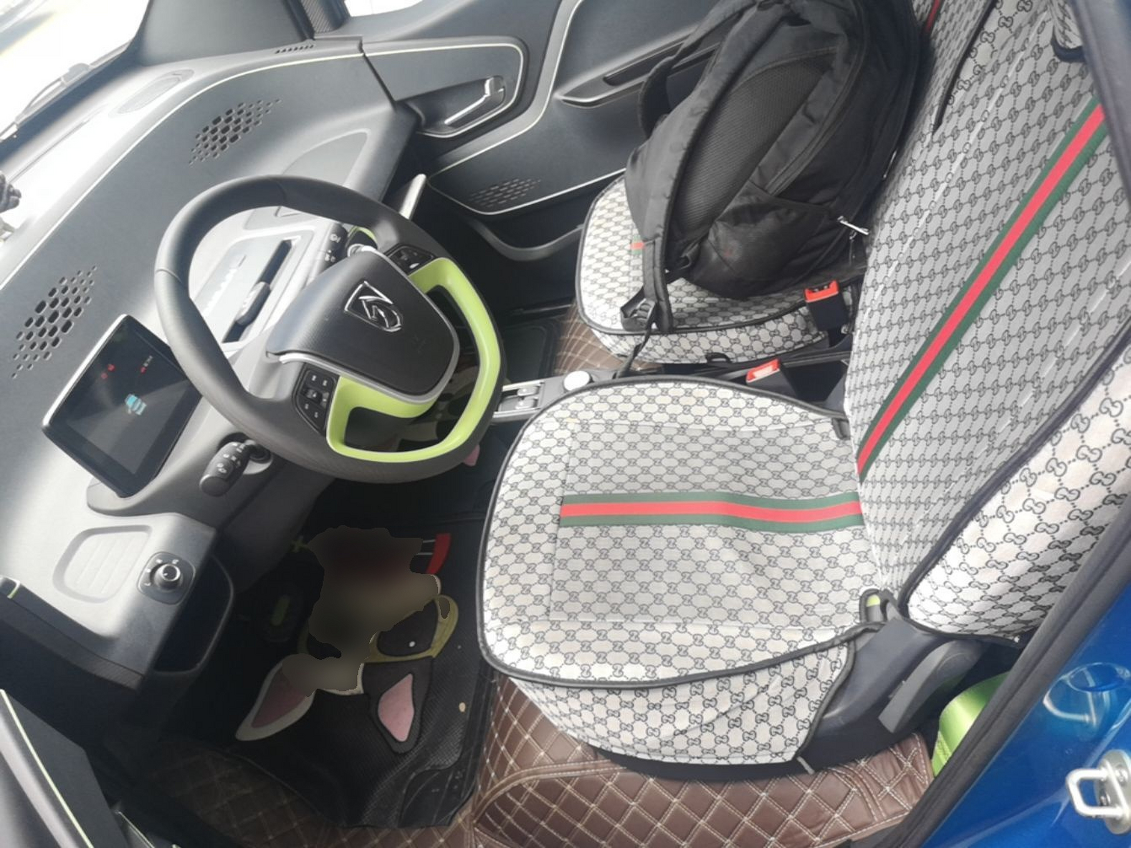 Interior delantero