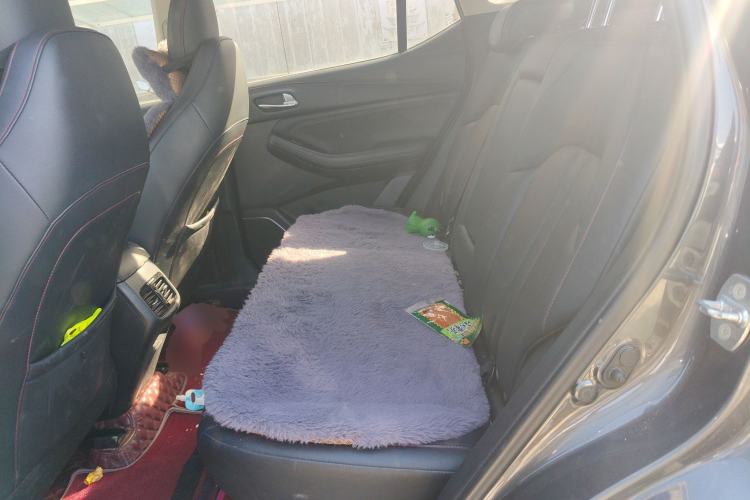 Used GAC Trumpchi GS4 2021 270T Automatic Elite Tech Edition Left Rear Seat