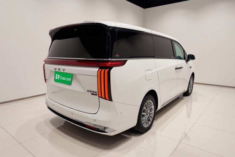 Used Wey Gaoshan 2025 Four-Wheel Drive Alpine 8 Exterior 5