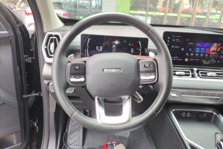 Used Haval H5 2024 2.0T Automatic All-Wheel Drive Flagship Gasoline
