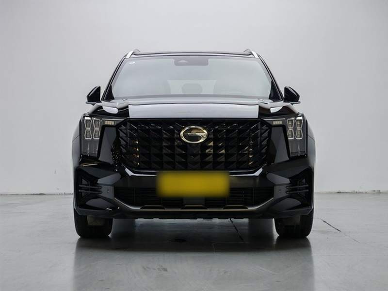 Used GAC Trumpchi GS8 2024 Linghang Series 2.0 TGDI Two-Wheel Drive Luxury Smart Connectivity Version — 31
