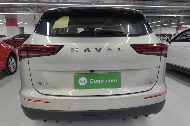 Used Haval H6 2024 2.0T Two-Wheel Drive Max