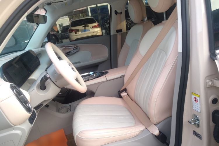 Used ORA Ballet Cat 2022 401 km Nutcracker Edition Left Front Seat