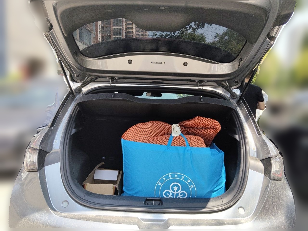 BYD Dolphin 2023 420 km Fashion Edition — снимка 14