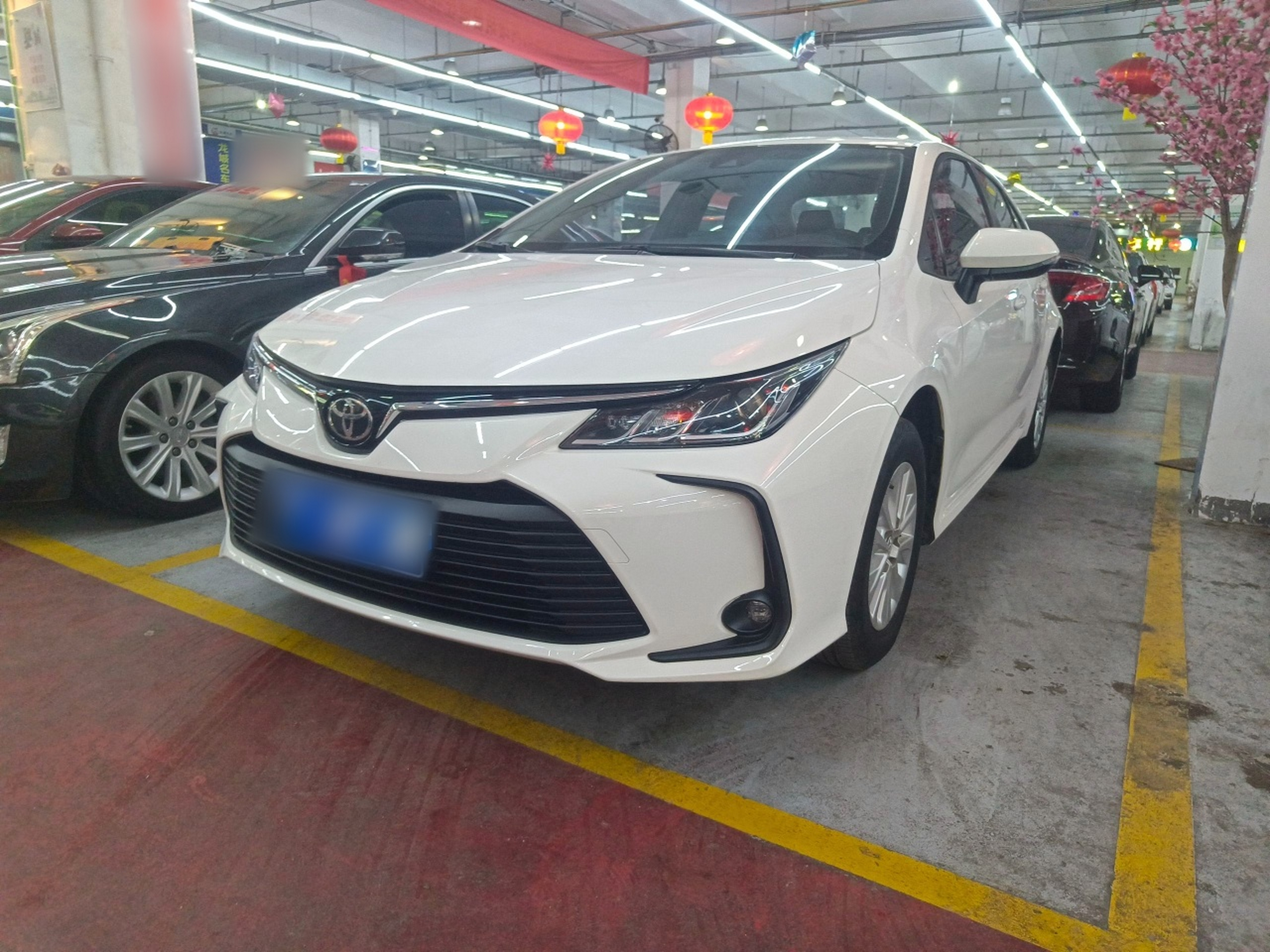 Parte inferior delantera