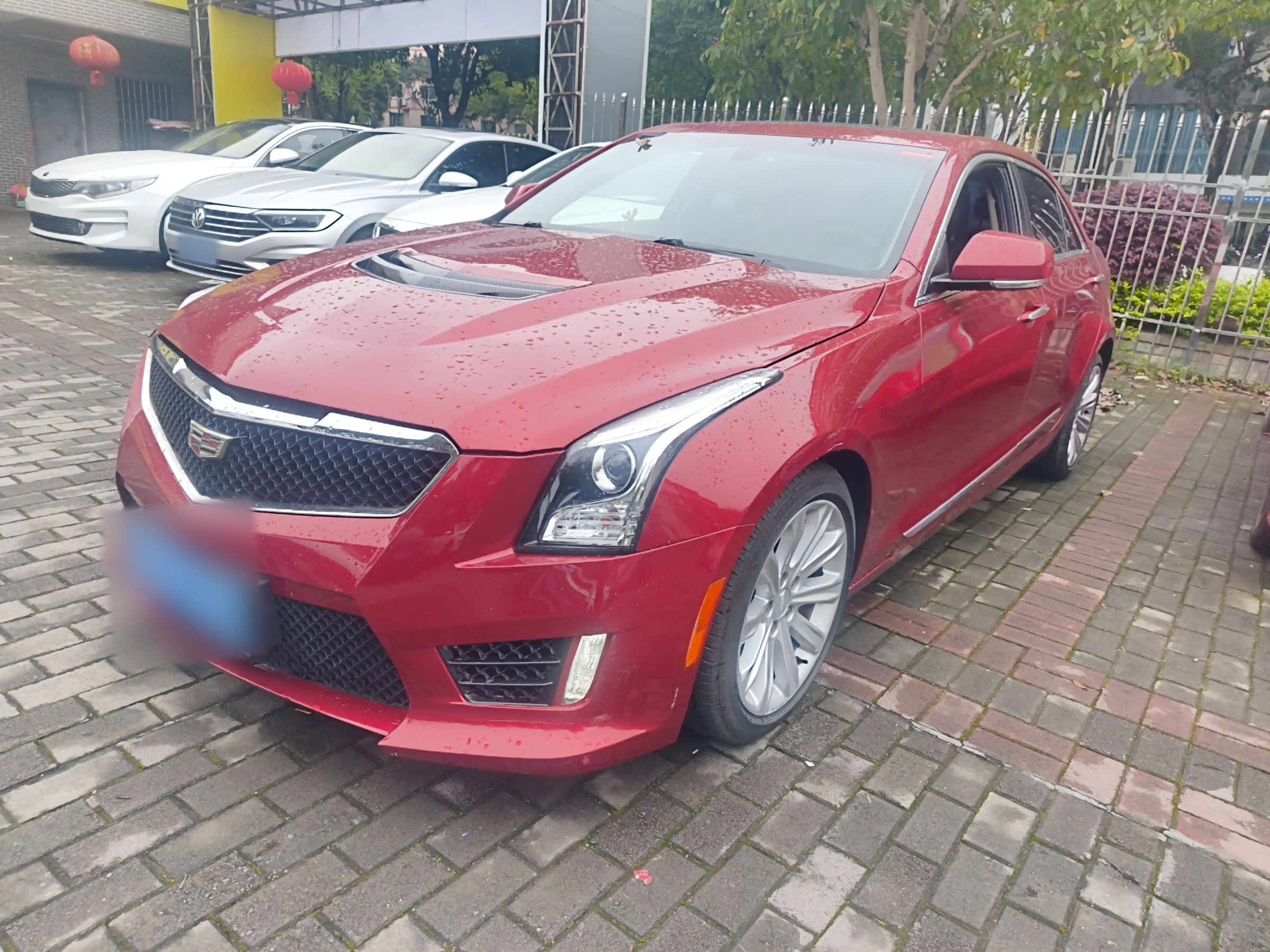 Parte inferior delantera