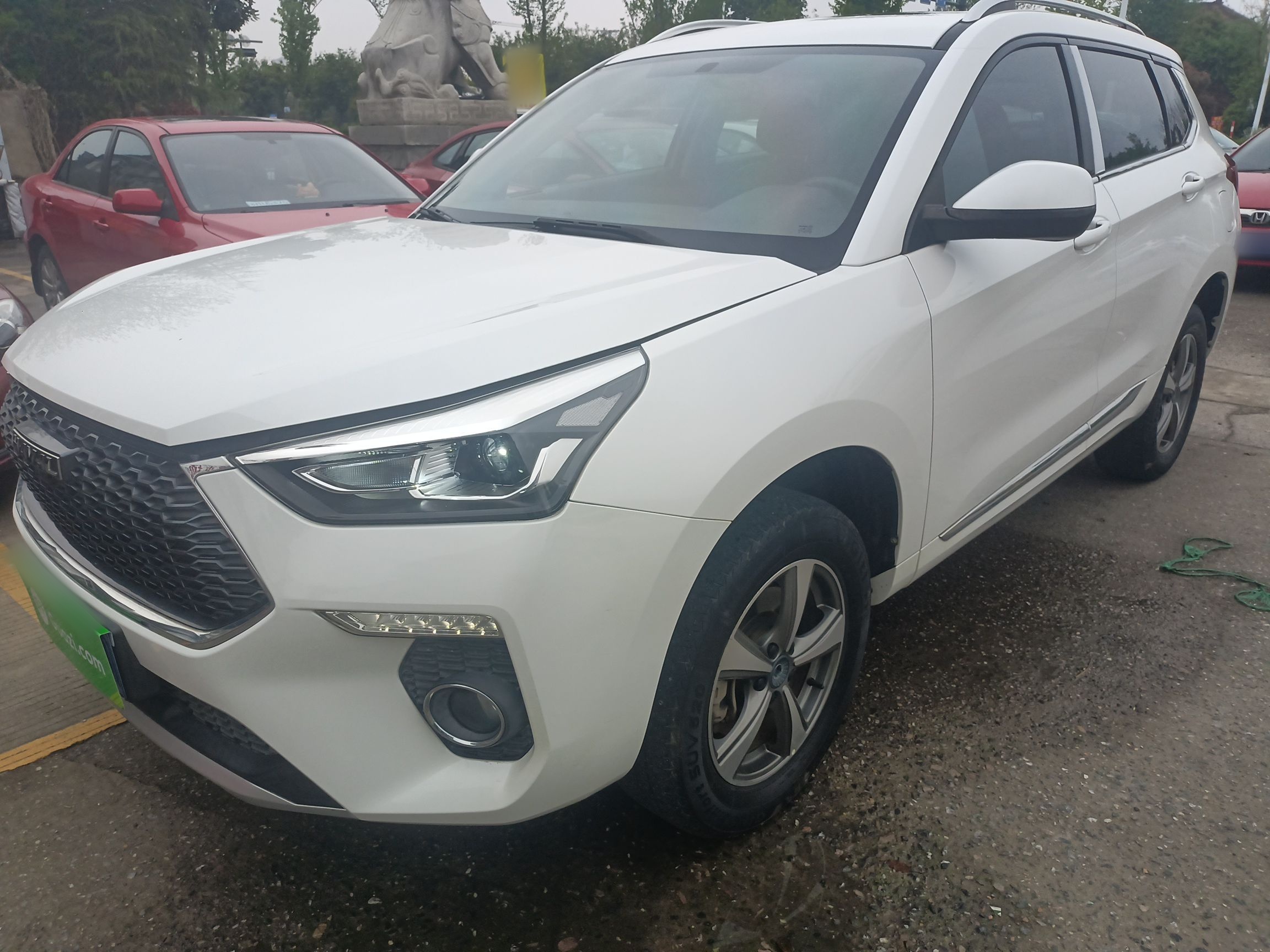 Parte inferior delantera