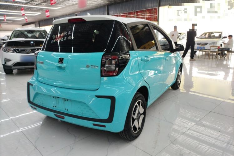 Used SOL E10X 2022 Flower Fairy Style Baby's Breath
