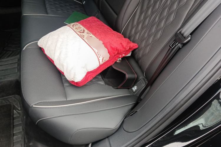 Used Volkswagen Magotan 2024 380TSI DSG Prestige Edition DaMai Package Left Rear Seat