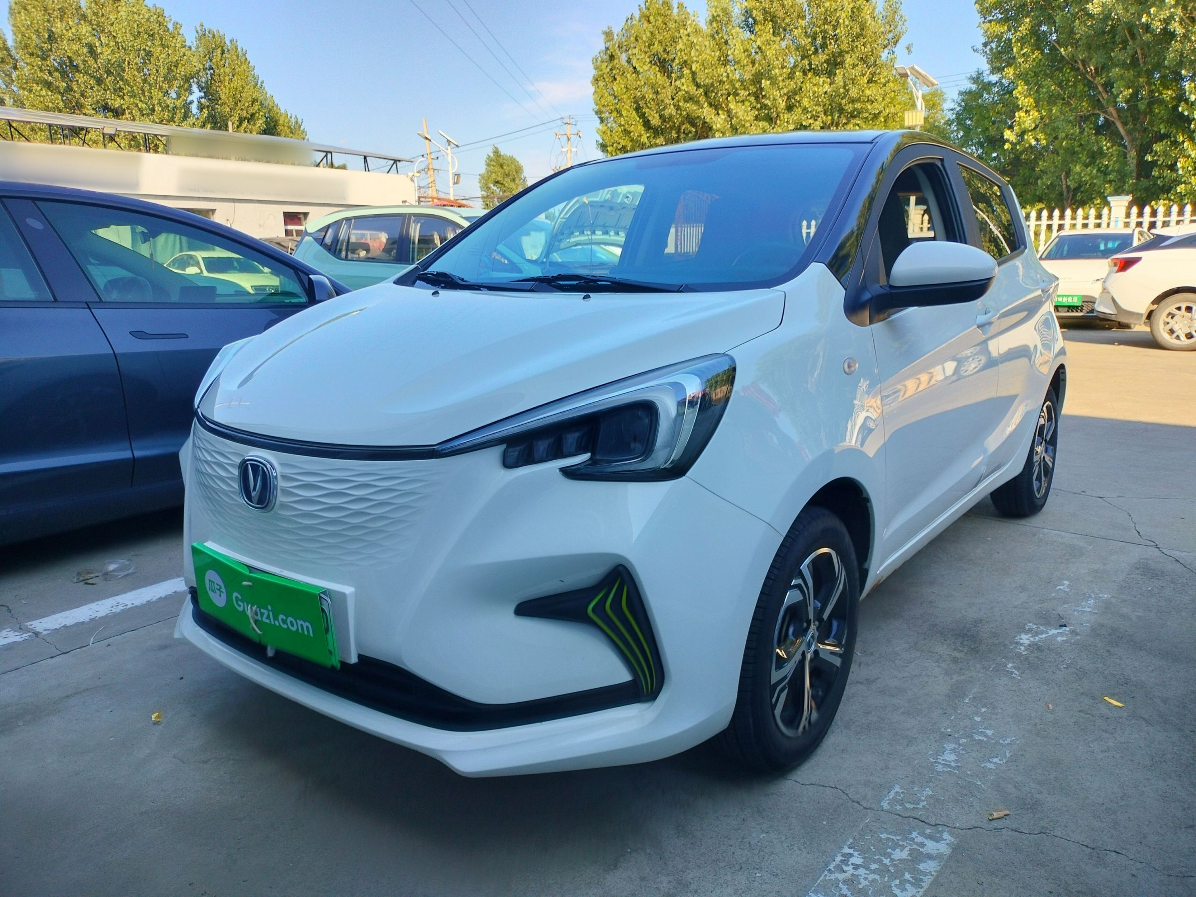 Under Front Bumper