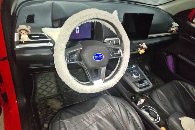 Used BYD e2 2021 Comfort Model Center Console