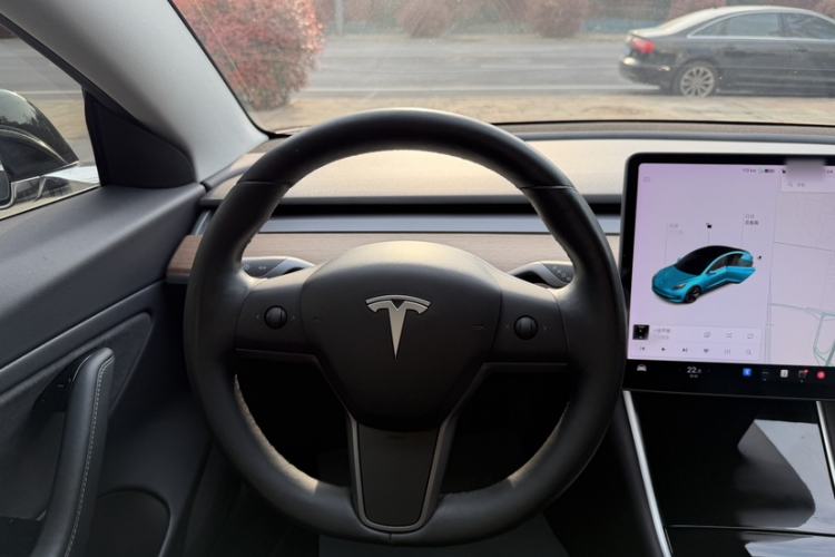 Used Tesla Model 3 2019 Long-Range Rear-Wheel-Drive Version