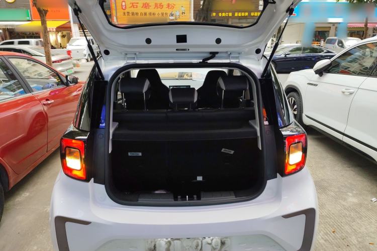 Used SOL E10X 2022 Flower Fairy Design Four-Leaf Clover